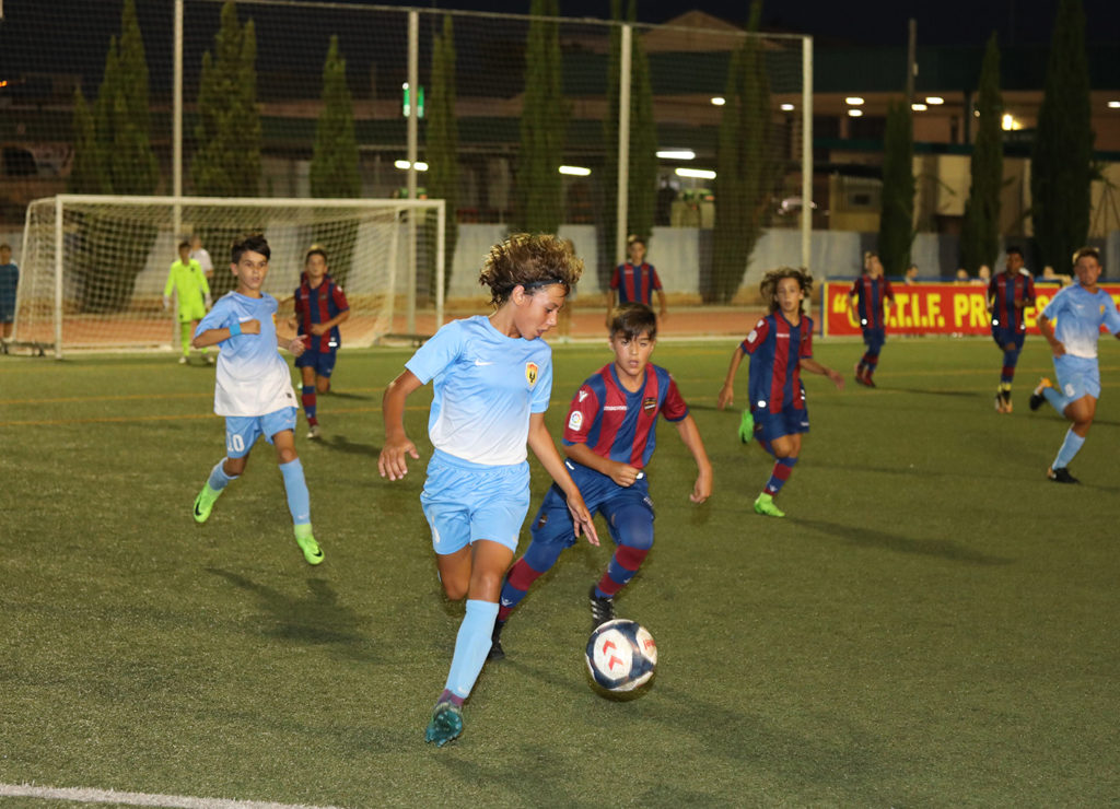 Cotif Alcudia