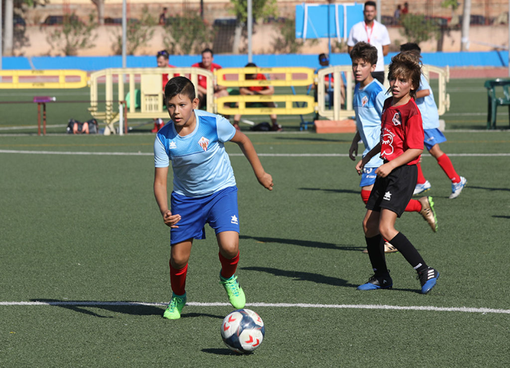 Cotif Alcudia