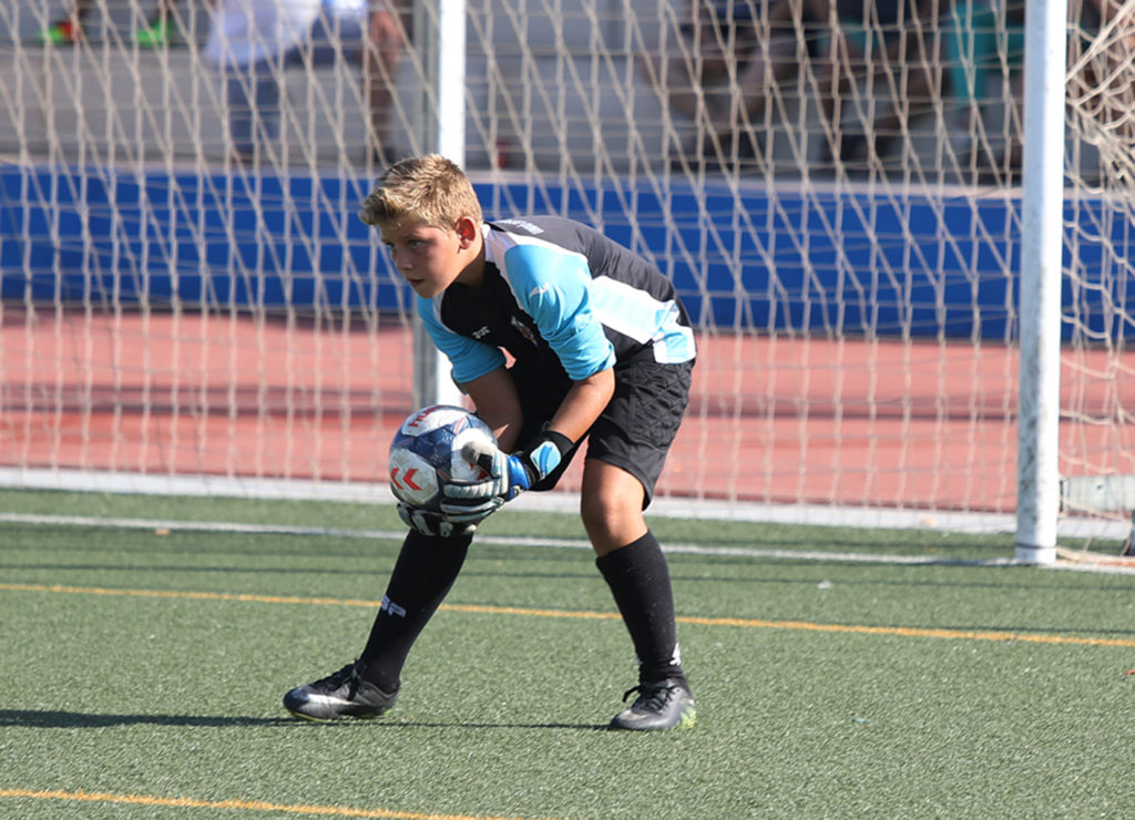Cotif Alcudia