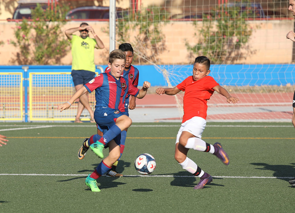 Cotif Alcudia
