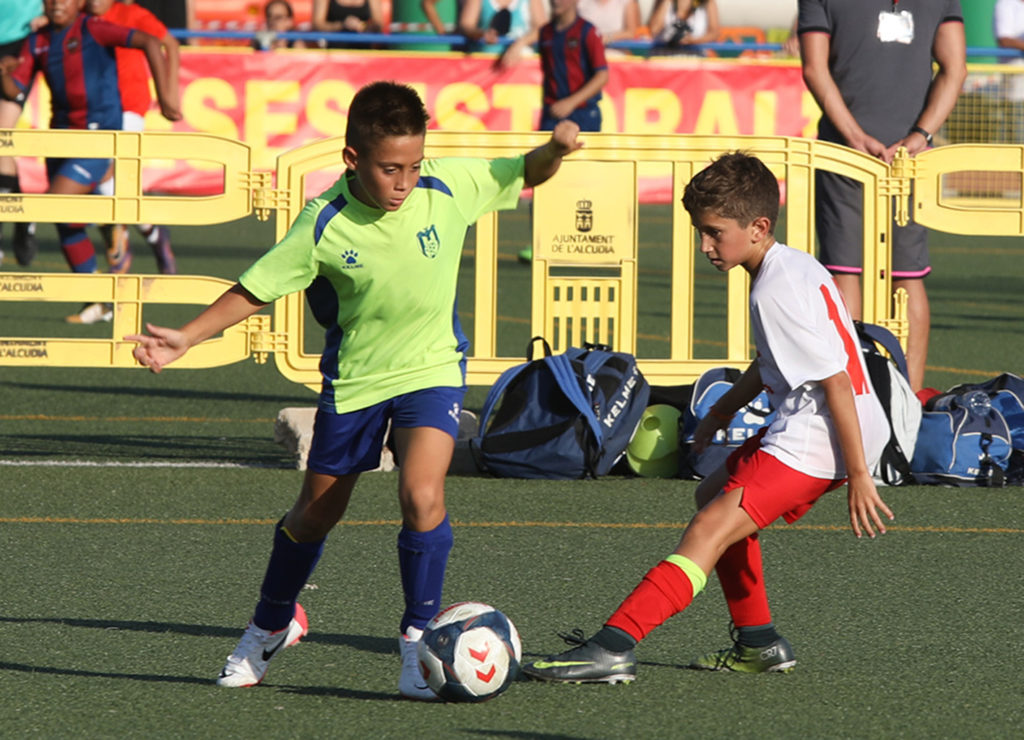 Cotif Alcudia