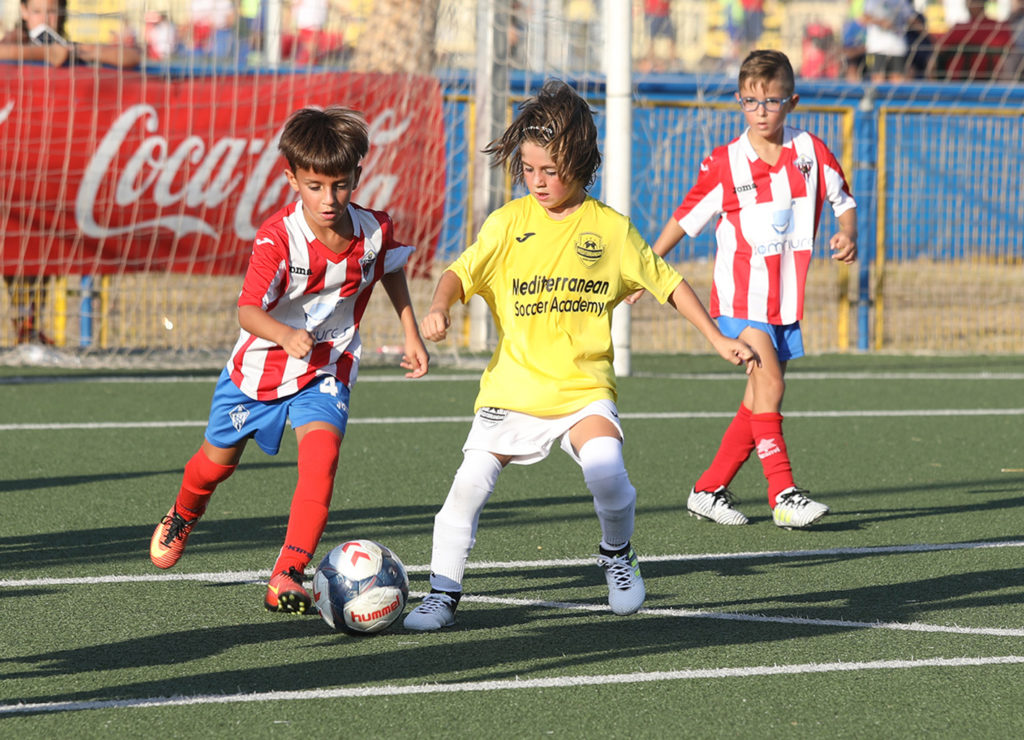 Cotif Alcudia