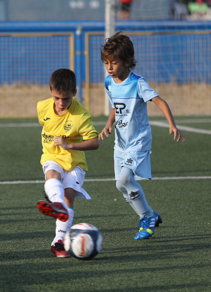 Cotif Alcudia