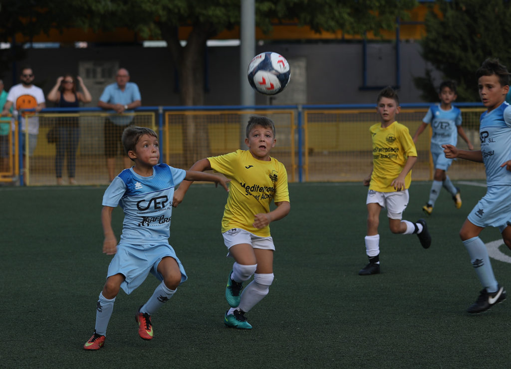 Cotif Alcudia