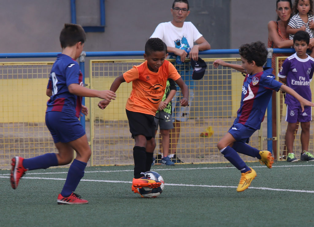 Cotif Alcudia