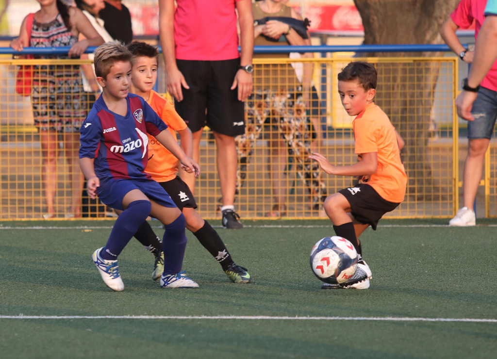 Cotif Alcudia