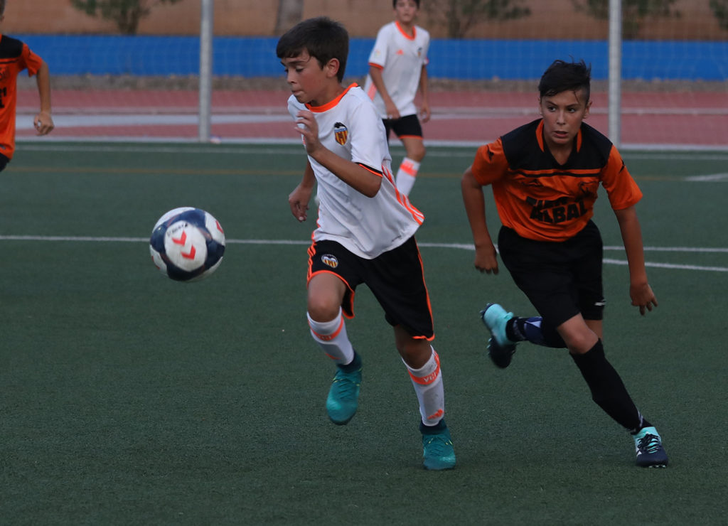 Cotif Alcudia