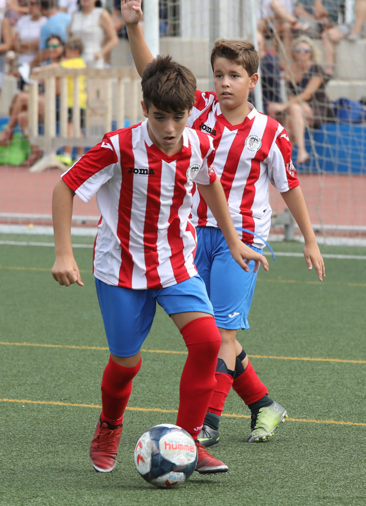 Cotif Alcudia
