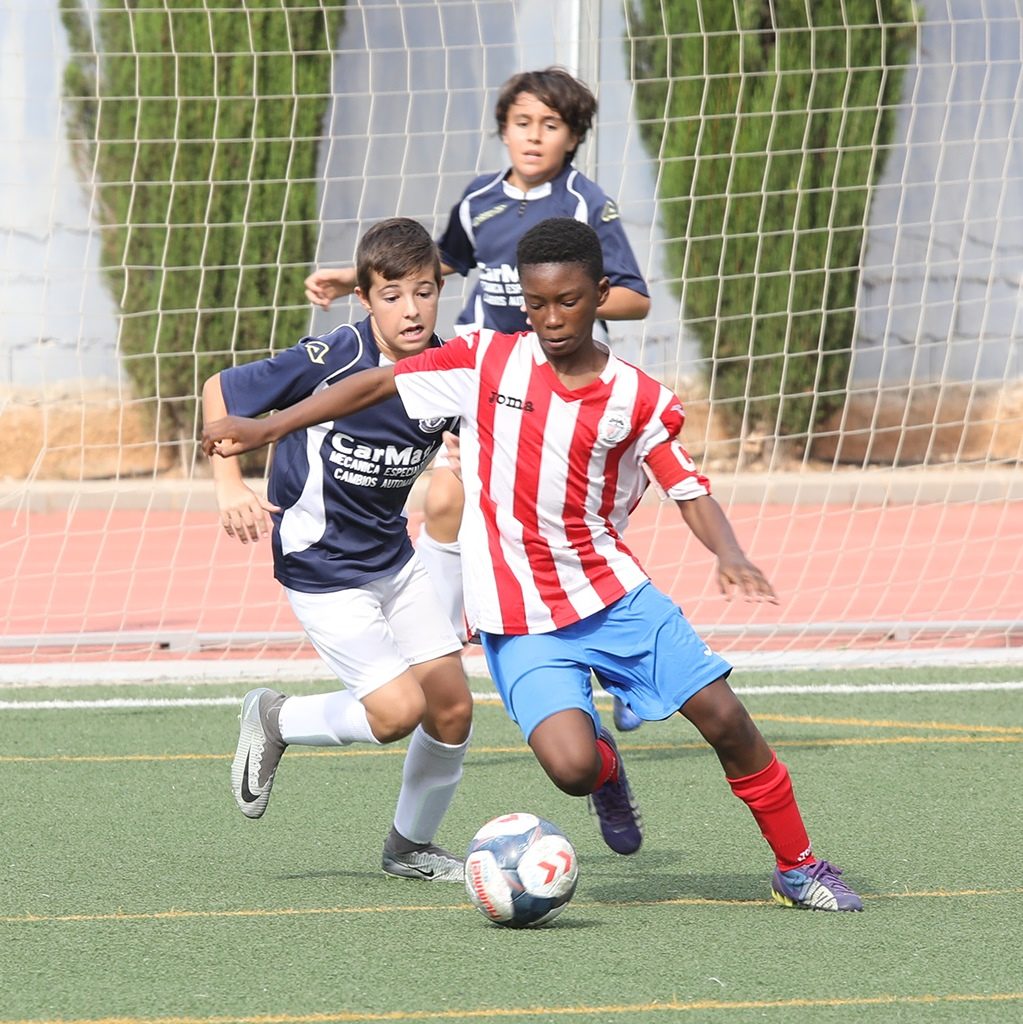 Cotif Alcudia