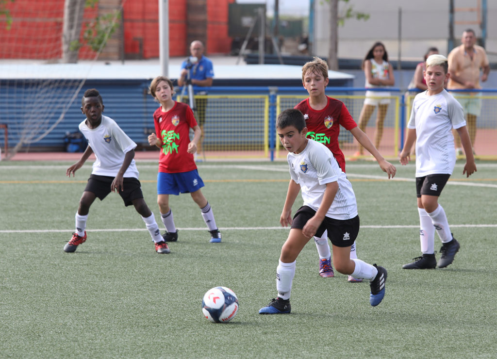 Cotif Alcudia