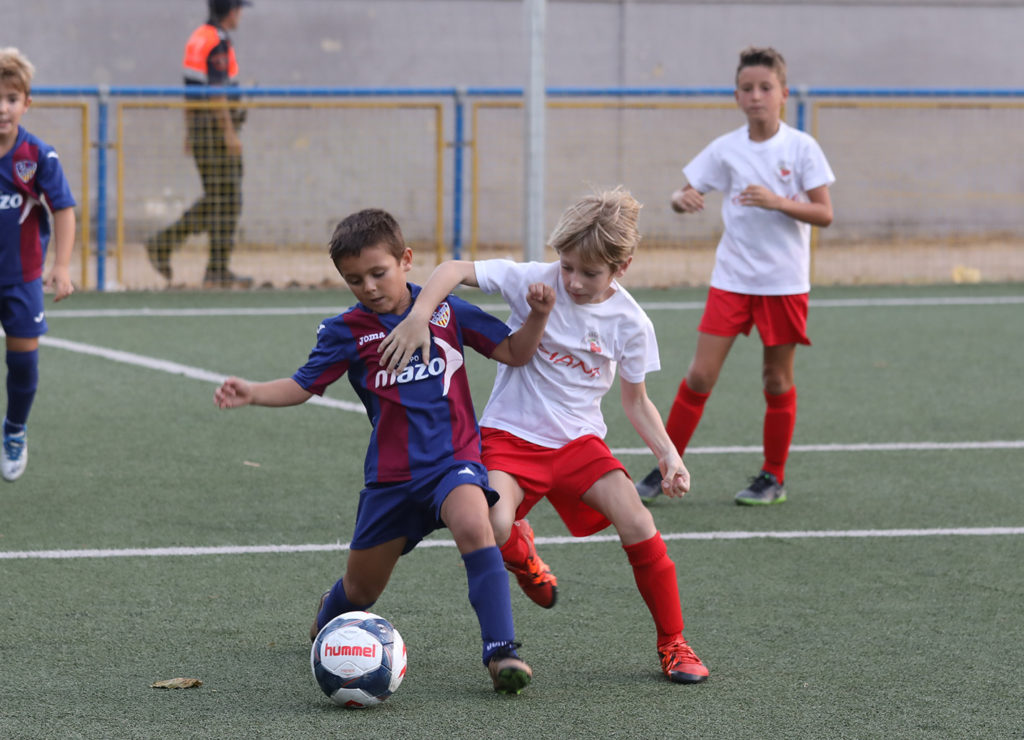 Cotif Alcudia