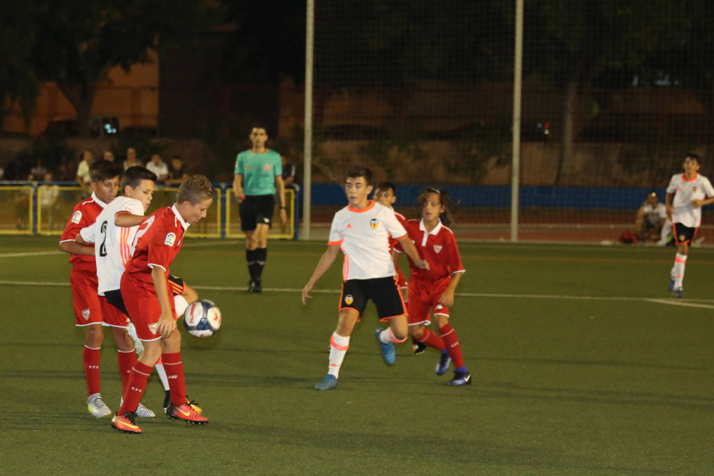 Cotif Alcudia