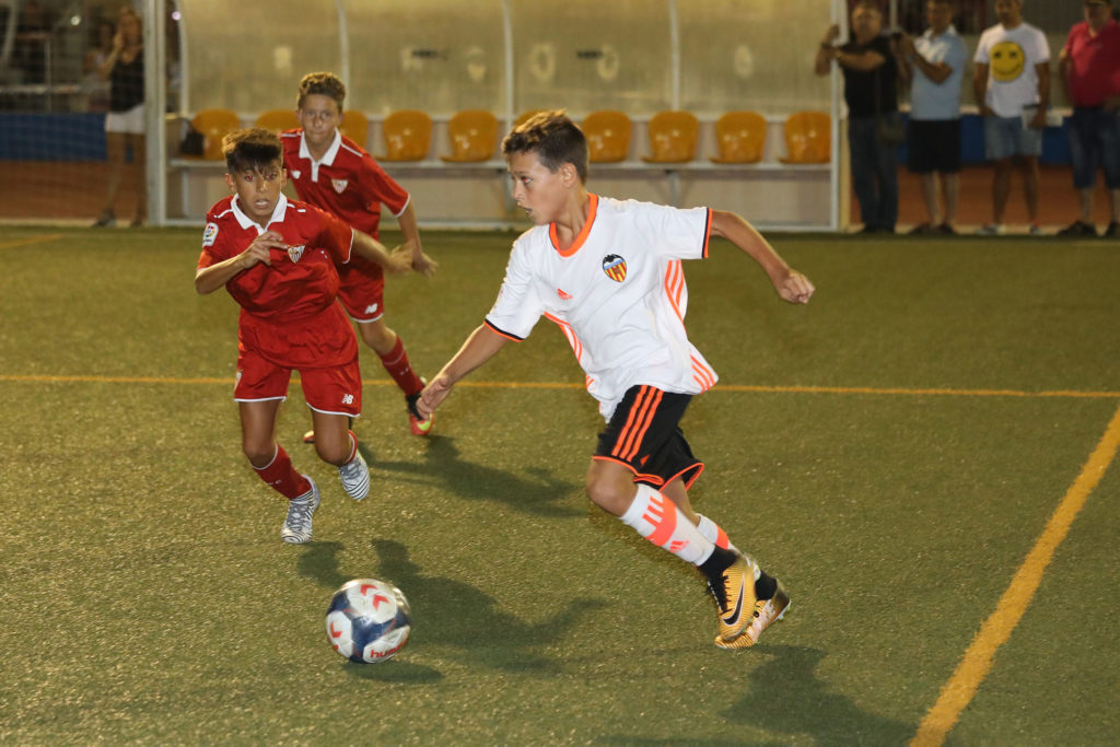 Cotif Alcudia