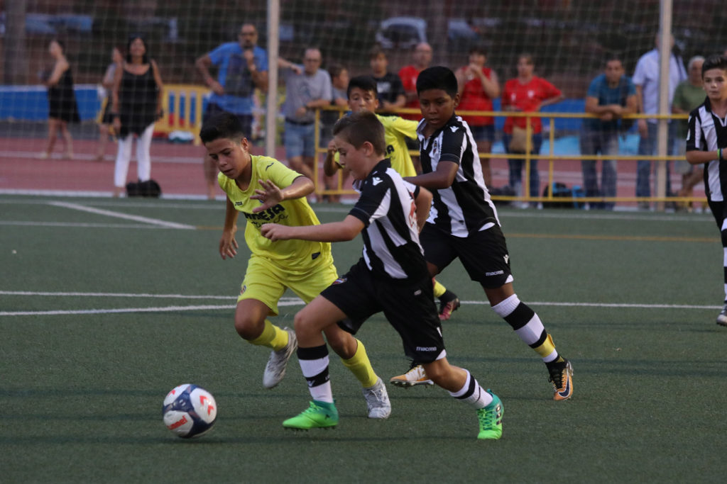 Cotif Alcudia