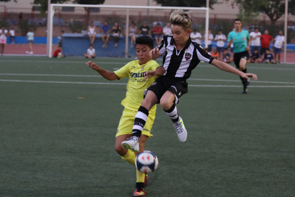 Cotif Alcudia