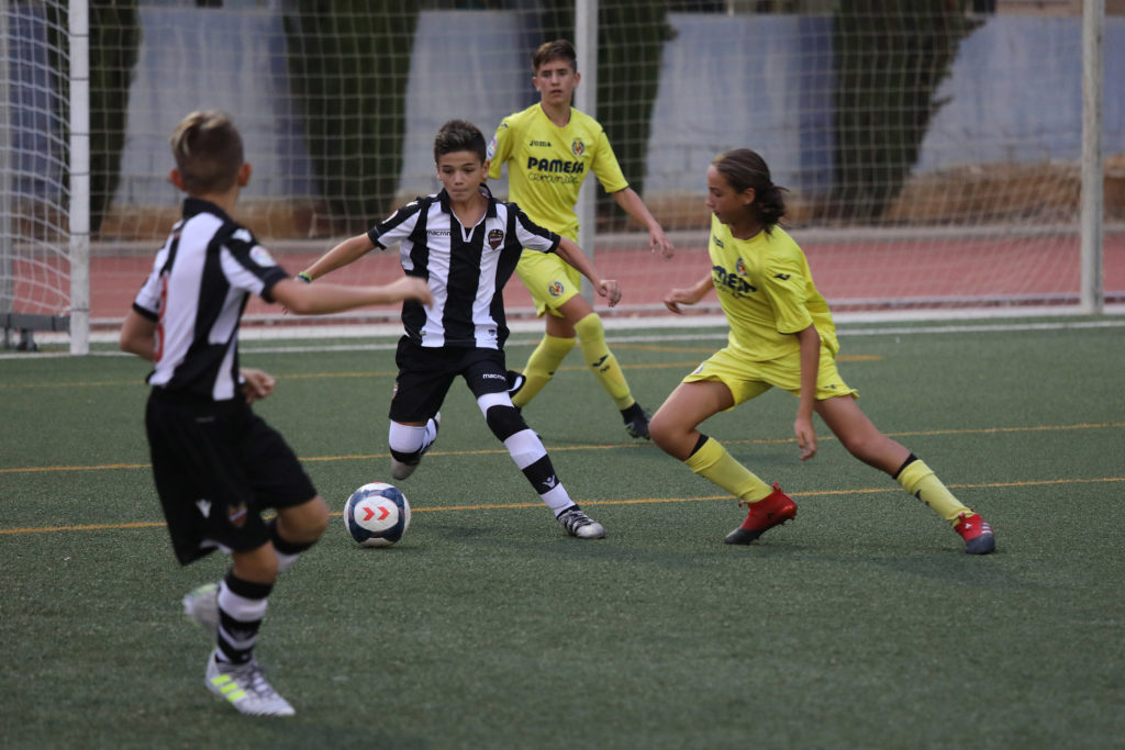 Cotif Alcudia