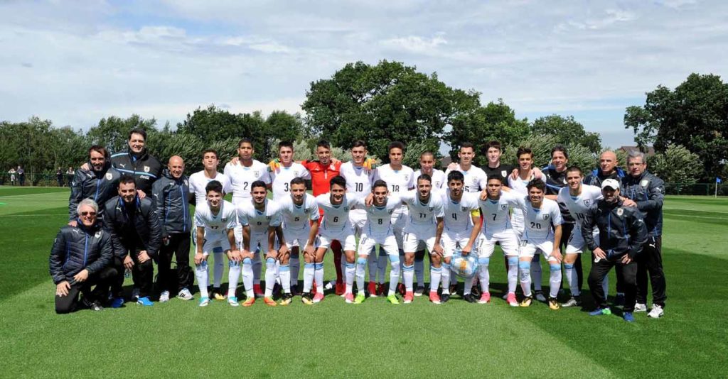 Cotif Alcudia