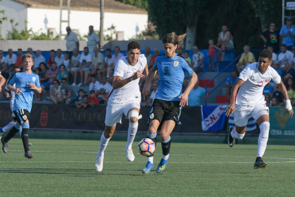 Cotif Alcudia