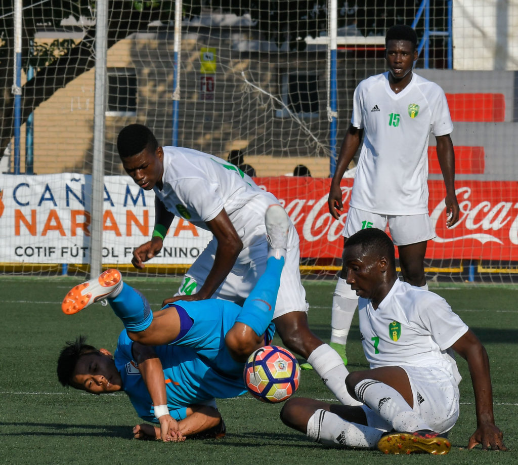 Cotif Alcudia