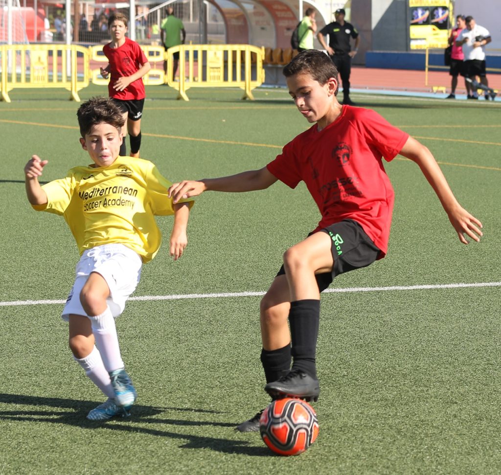 Cotif Alcudia