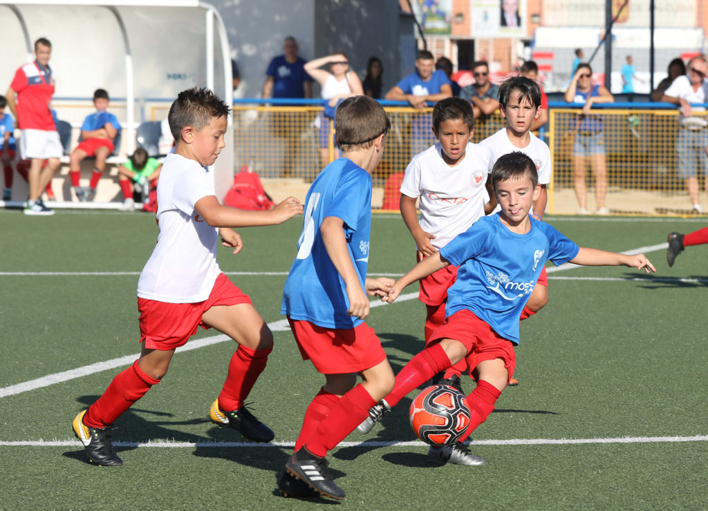 Cotif Alcudia