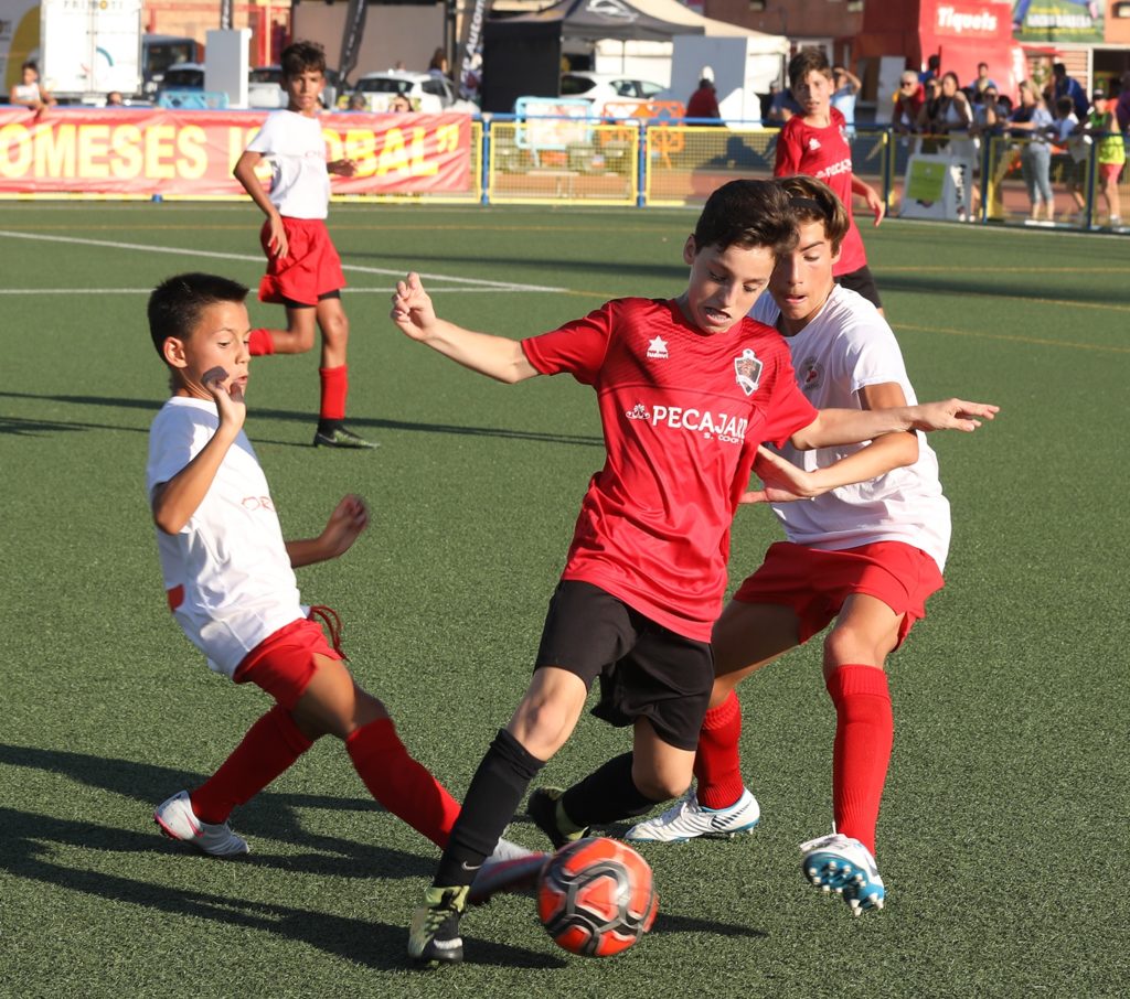Cotif Alcudia