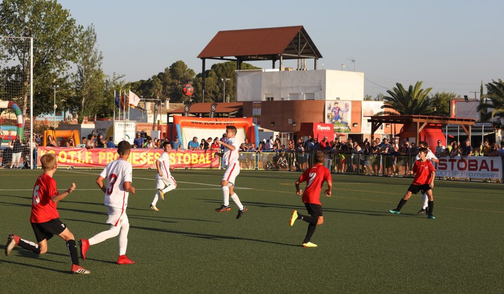 Cotif Alcudia
