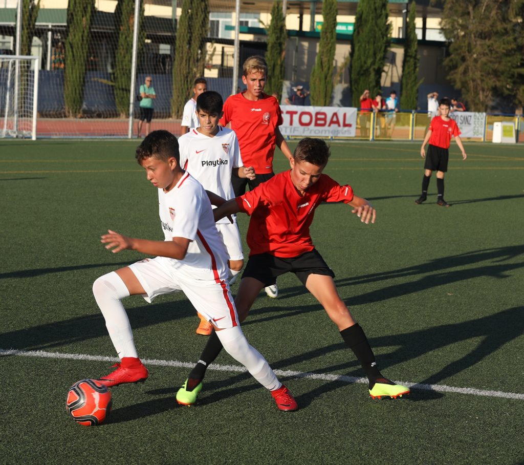 Cotif Alcudia