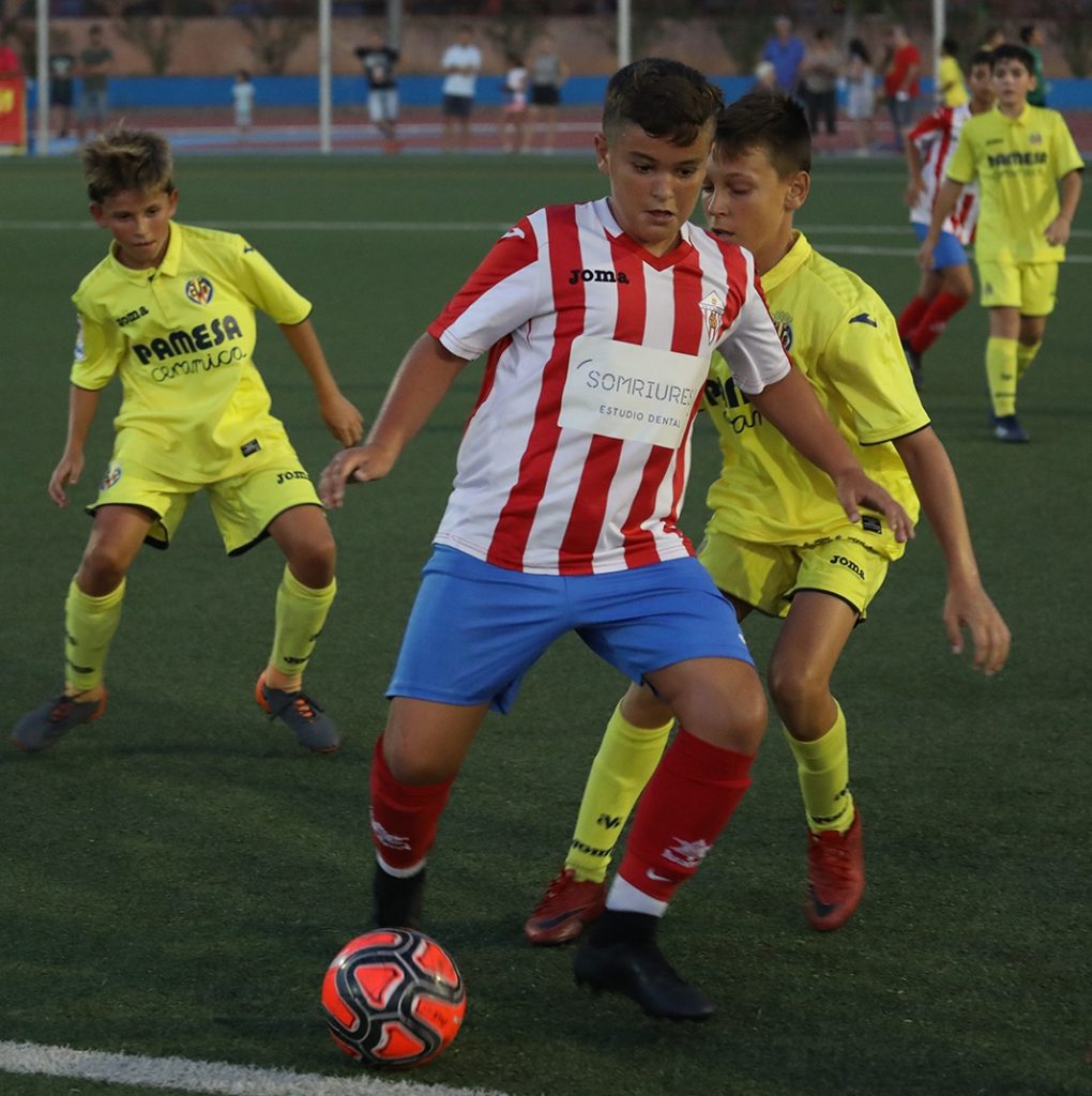 Cotif Alcudia