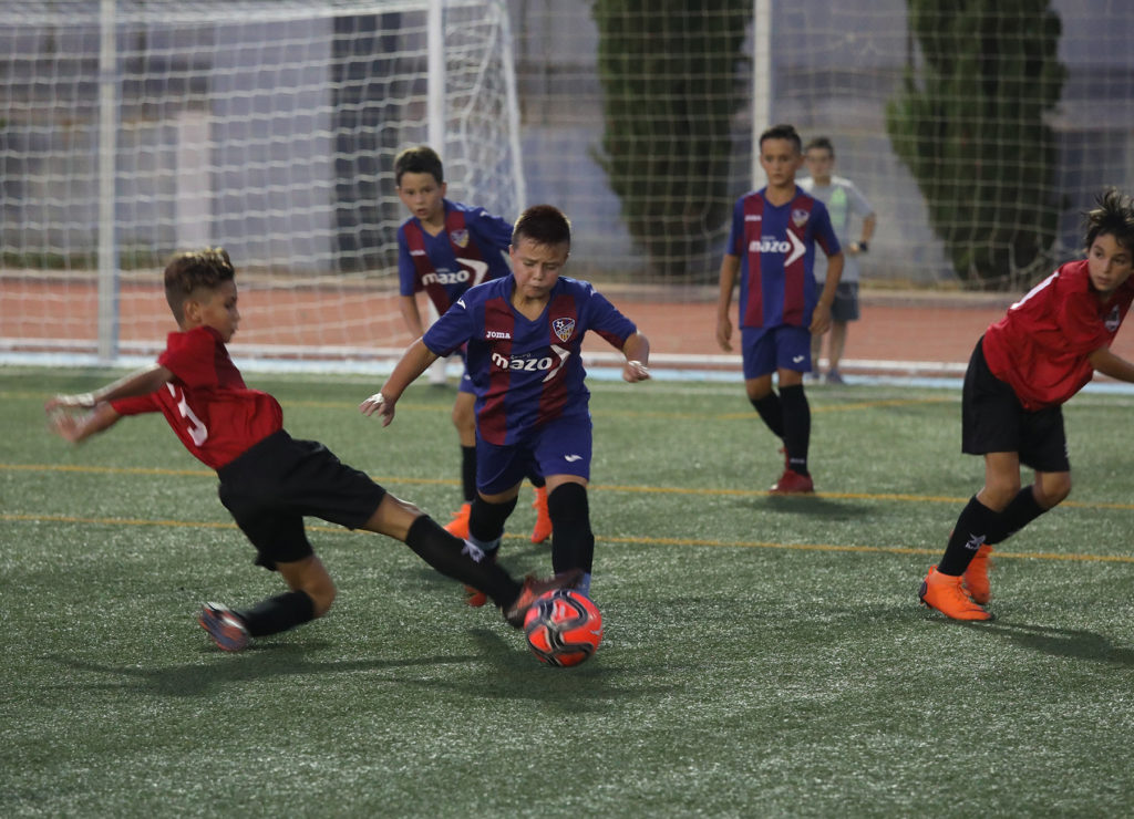 Cotif Alcudia