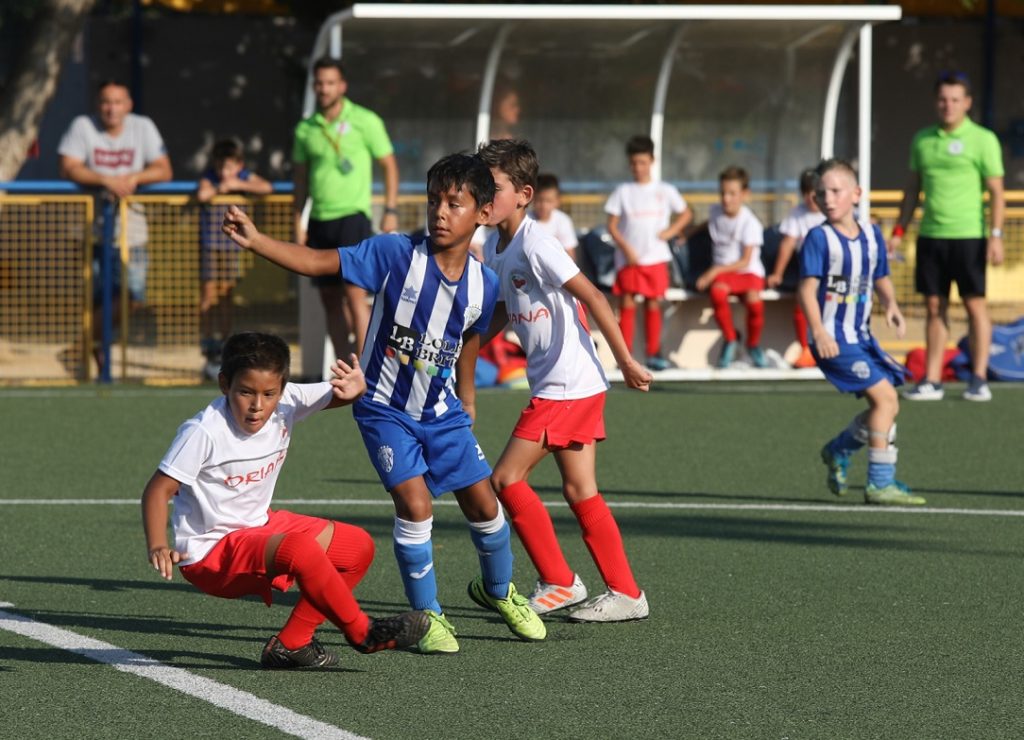 Cotif Alcudia