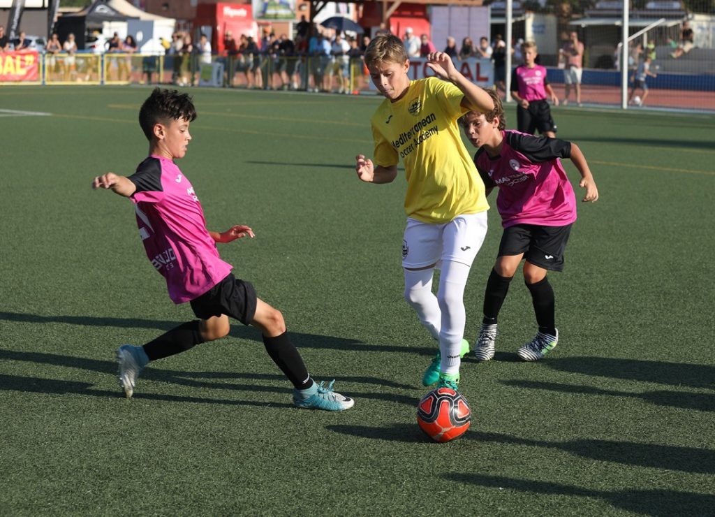 Cotif Alcudia