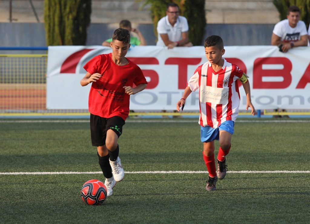 Cotif Alcudia