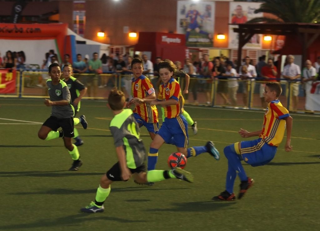Cotif Alcudia