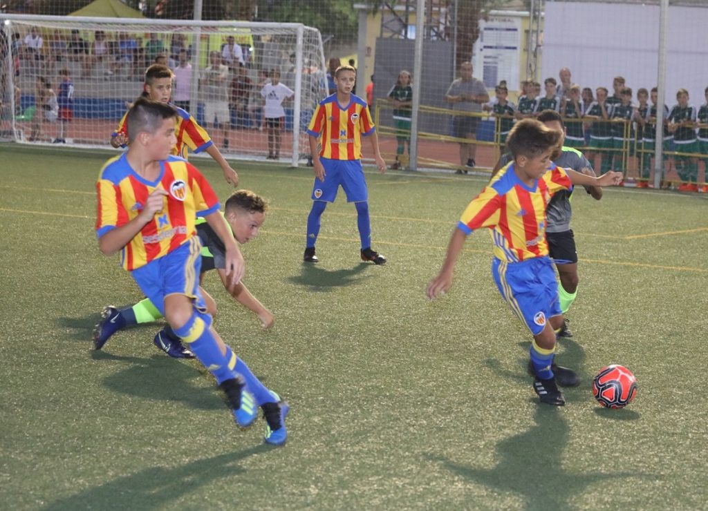 Cotif Alcudia