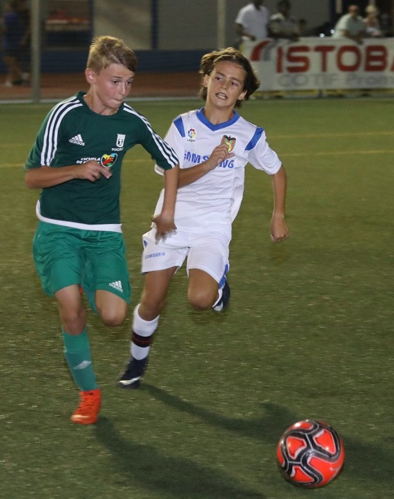 Cotif Alcudia