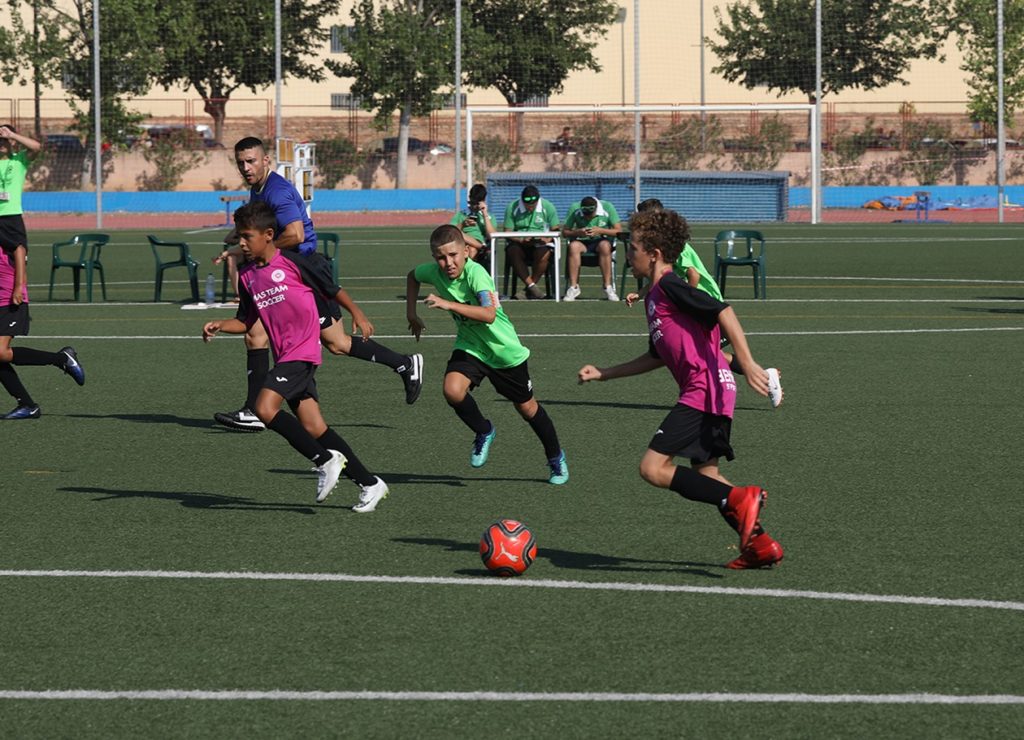 Cotif Alcudia