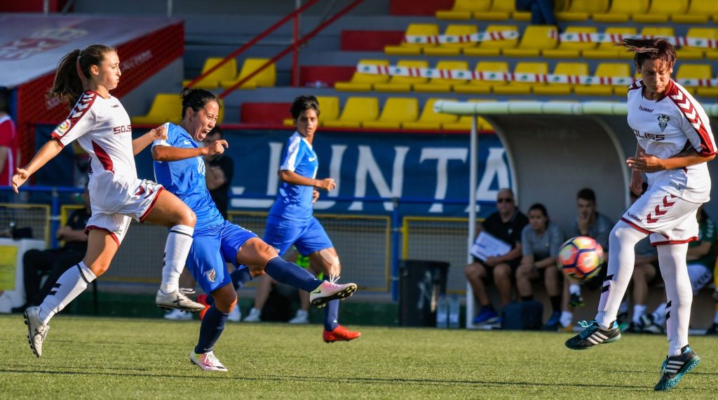 Cotif Alcudia
