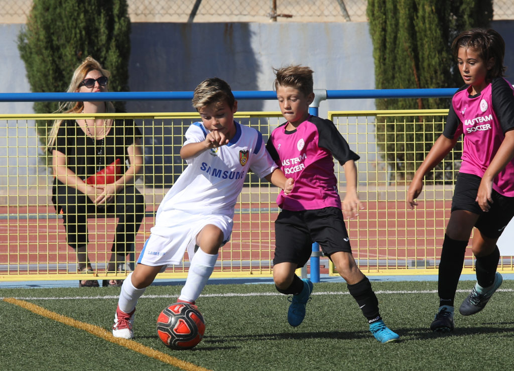 Cotif Alcudia