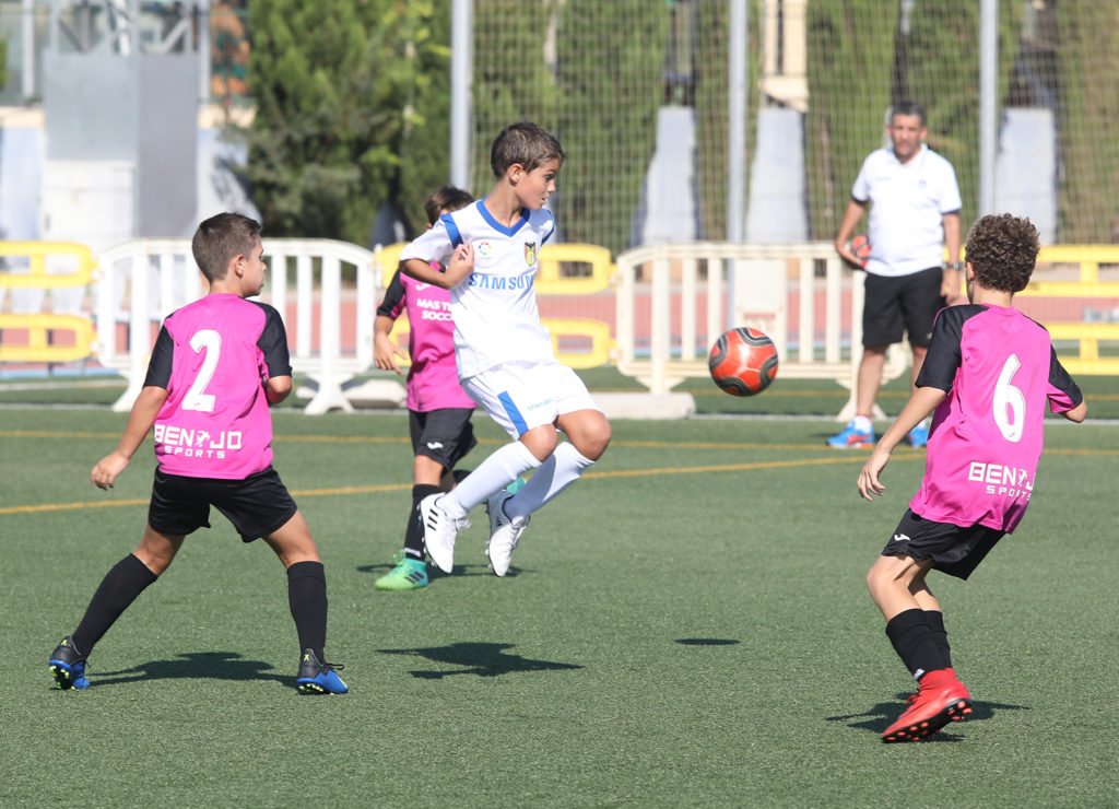 Cotif Alcudia