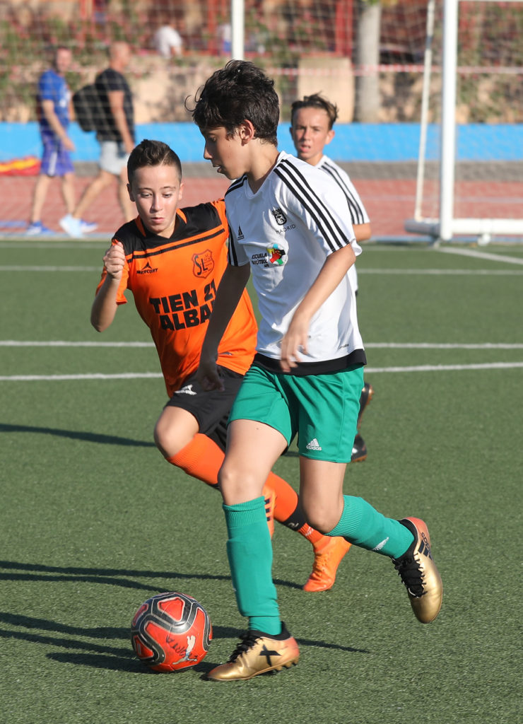 Cotif Alcudia