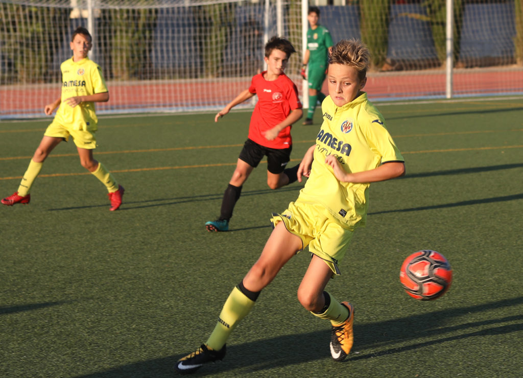 Cotif Alcudia