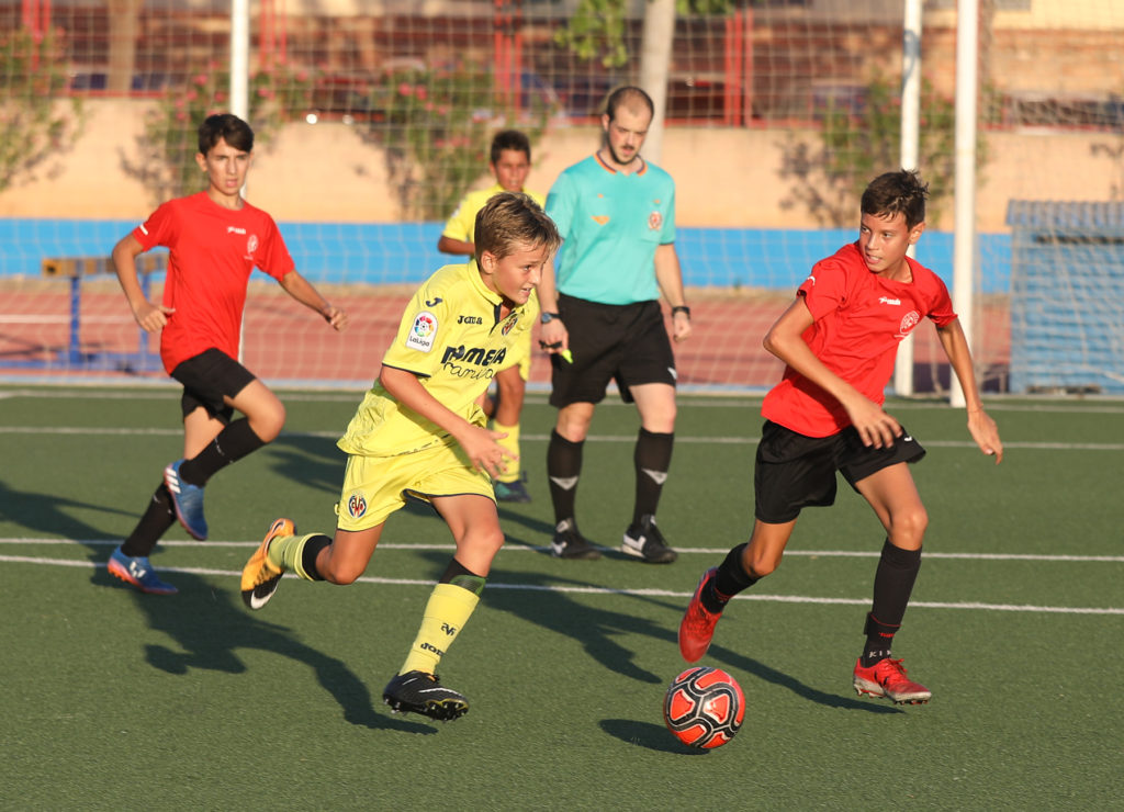 Cotif Alcudia