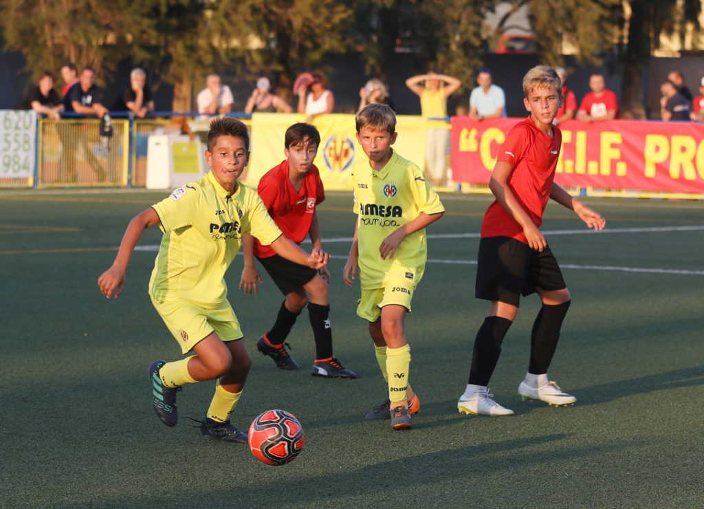 Cotif Alcudia