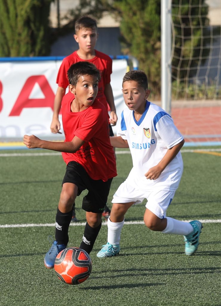 Cotif Alcudia