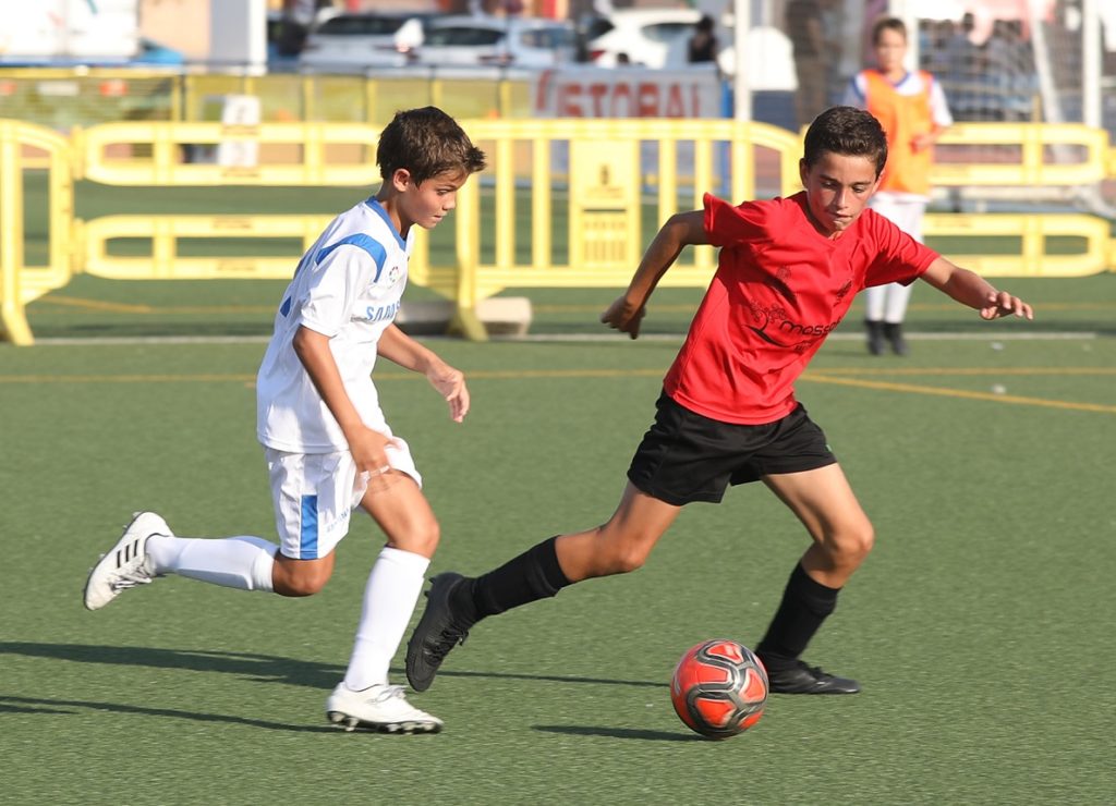 Cotif Alcudia