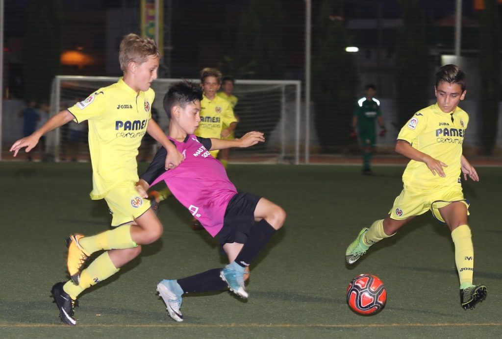 Cotif Alcudia