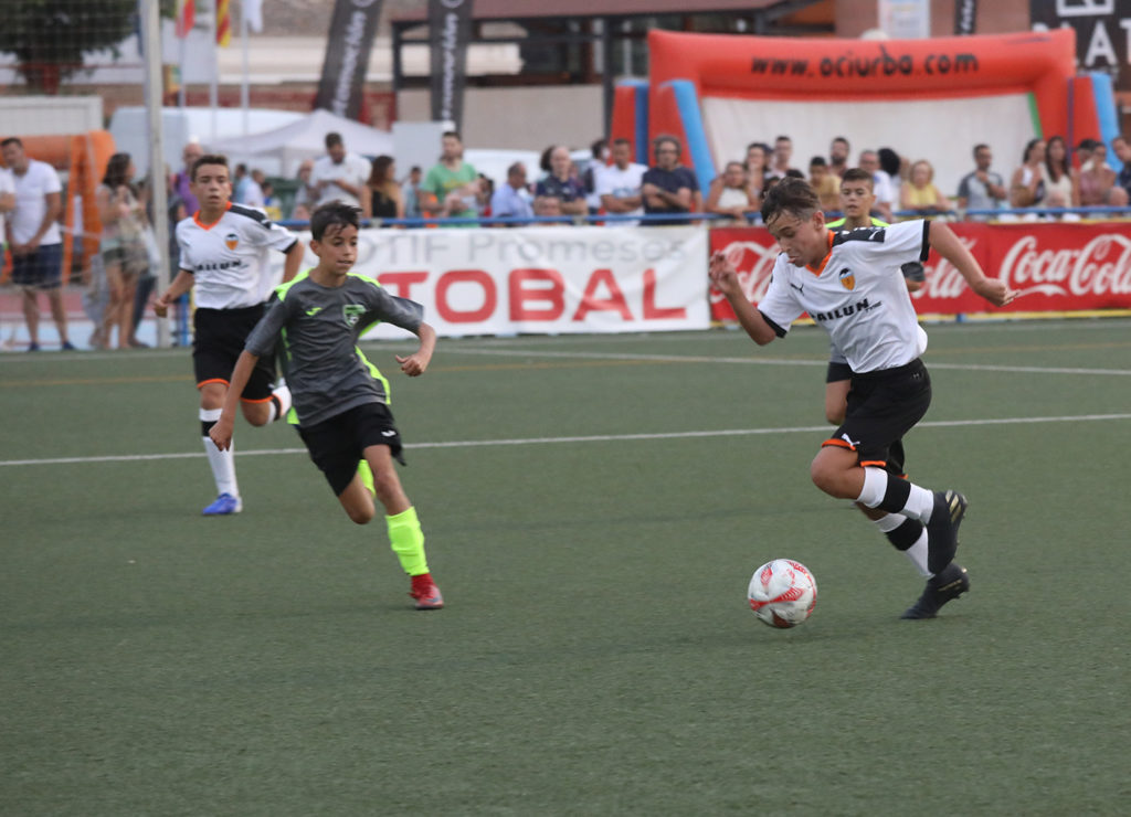 Cotif Alcudia