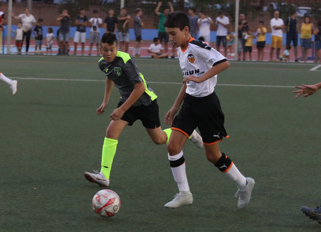 Cotif Alcudia