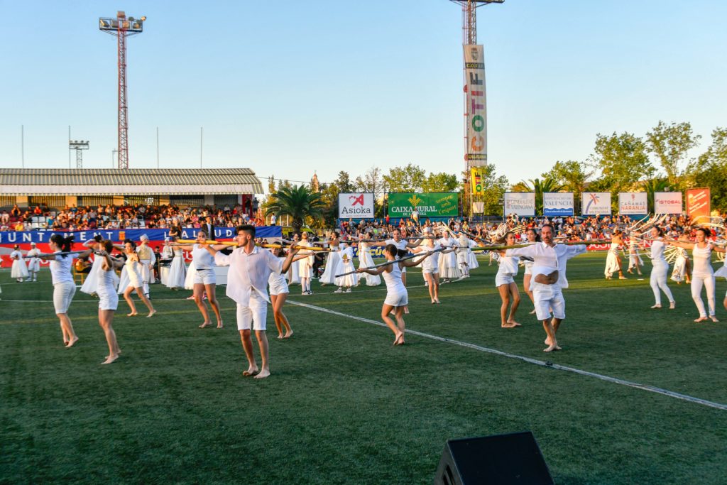 Cotif Alcudia